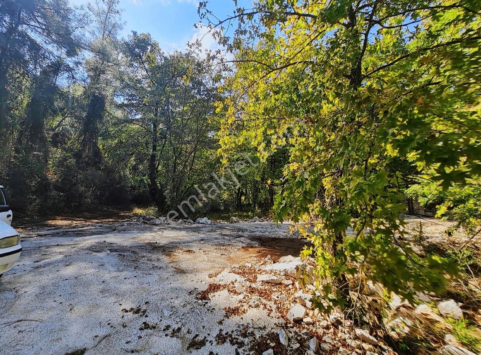 Zeytinalanında 4100 M2 Satılık Tarla. - Görsel 32
