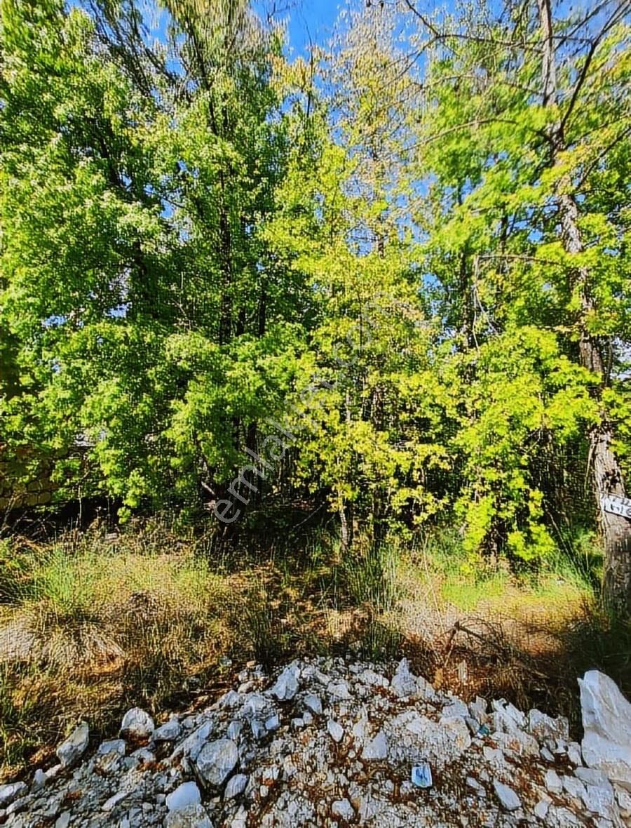 Zeytinalanında 4100 M2 Satılık Tarla. - Görsel 5