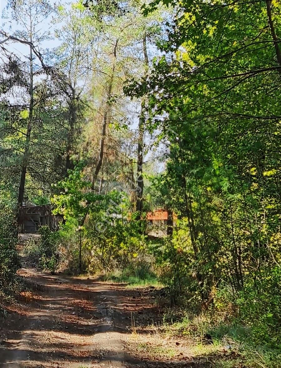 Zeytinalanında 4100 M2 Satılık Tarla. - Görsel 17