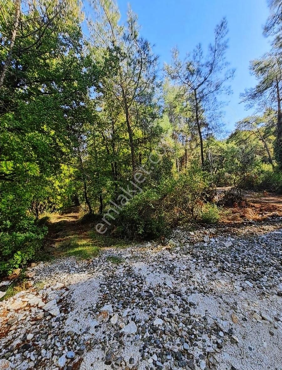 Zeytinalanında 4100 M2 Satılık Tarla. - Görsel 33