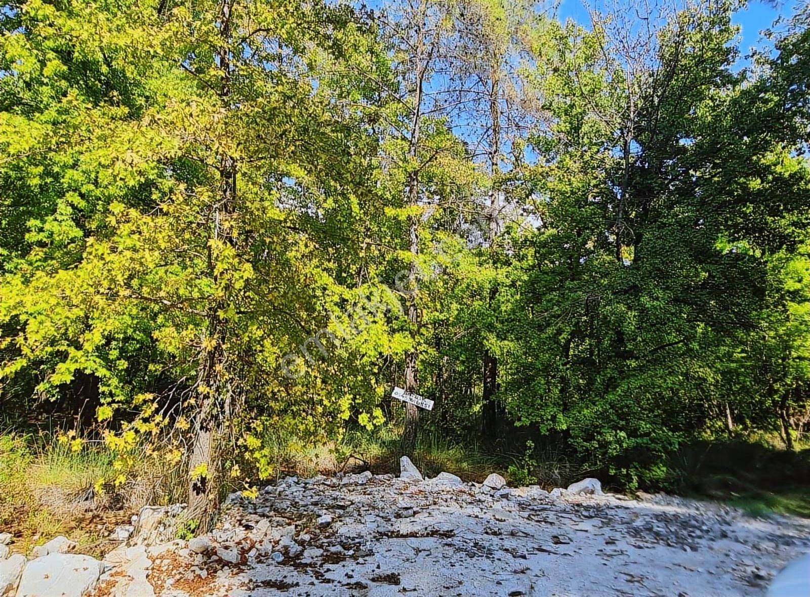 Zeytinalanında 4100 M2 Satılık Tarla. - Görsel 21