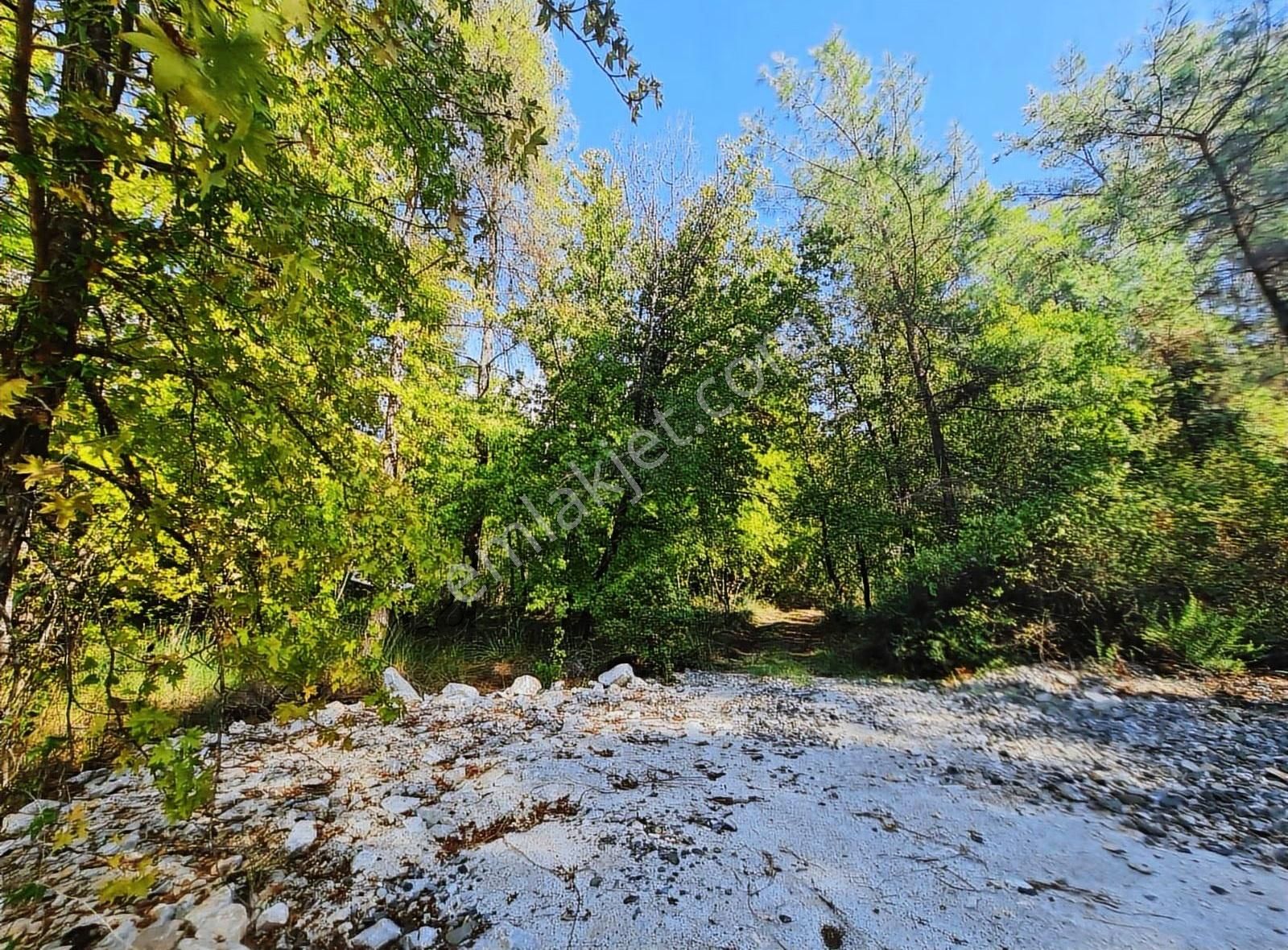 Zeytinalanında 4100 M2 Satılık Tarla. - Görsel 23