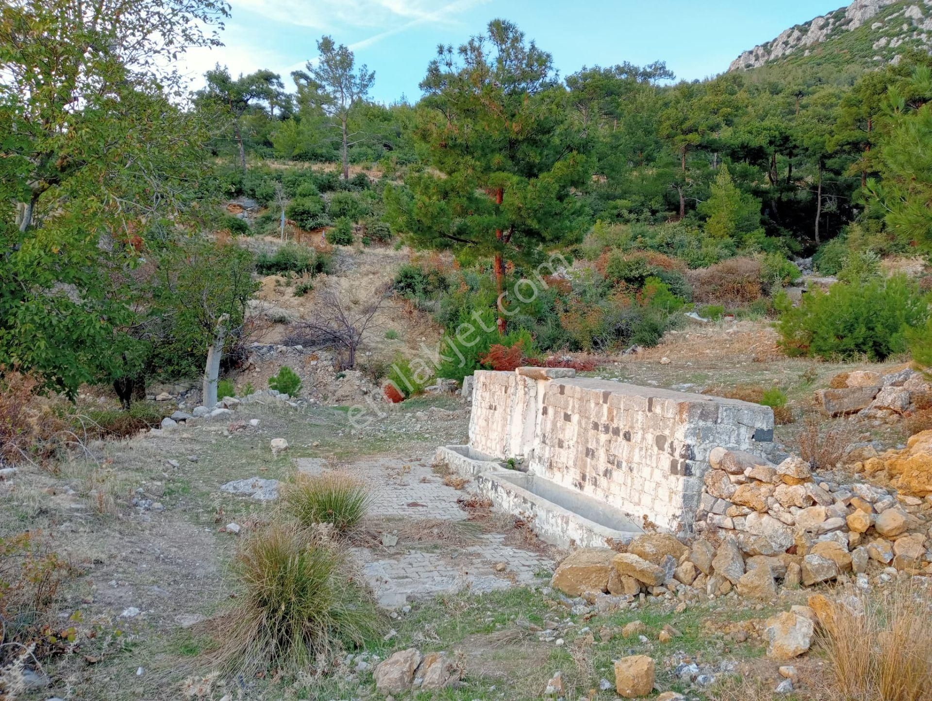 Komutan Emlaktan Çamobada 363 M2 Köy Kenarı Hobi Bahçesi - Görsel 9