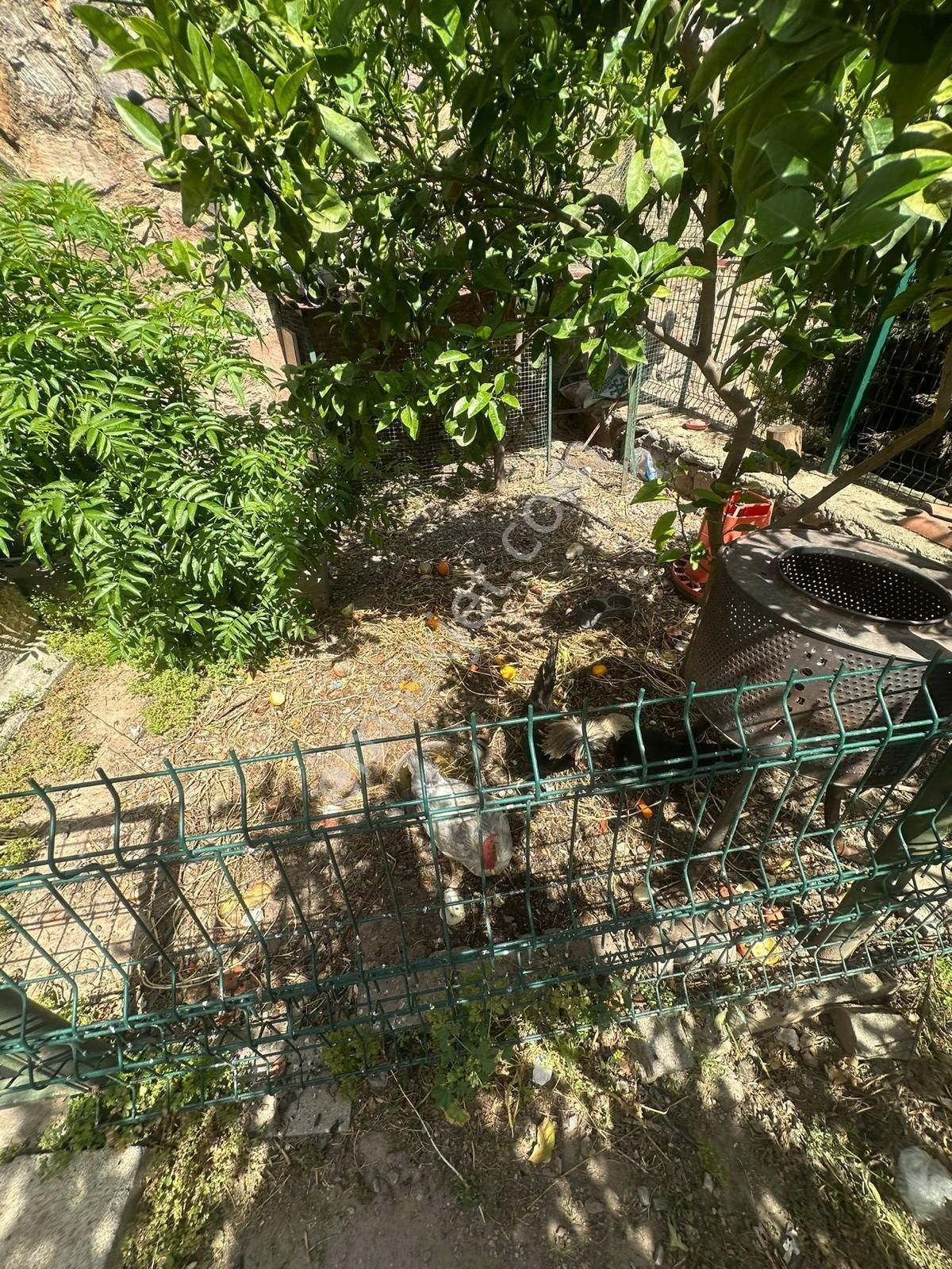 Milas Dörttepe De 3+1 Satılık Villa - Görsel 15