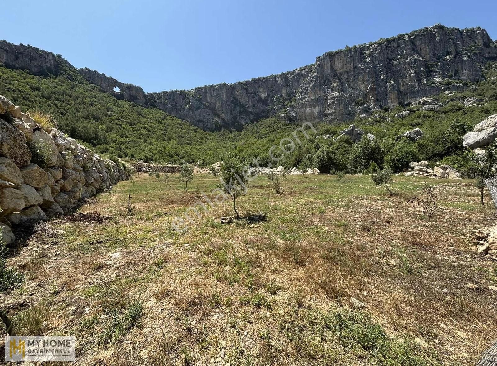 My Homedan Yenişehir Uzunkaşta 9.045 M² Verimli Tarla Fırsatı - Görsel 3