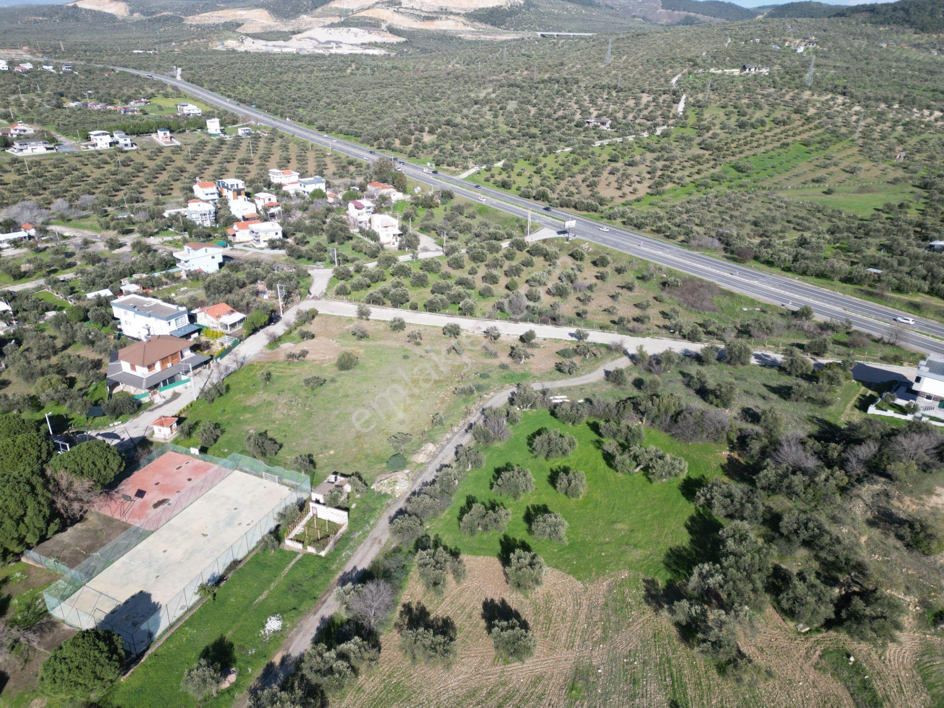 Şakranda 10800 M2 İmara Açılacak Zeytinlik - Görsel 8