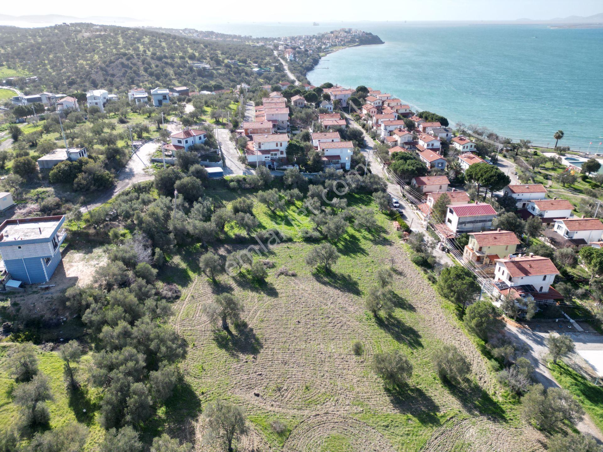 Şakranda 10800 M2 İmara Açılacak Zeytinlik - Görsel 22