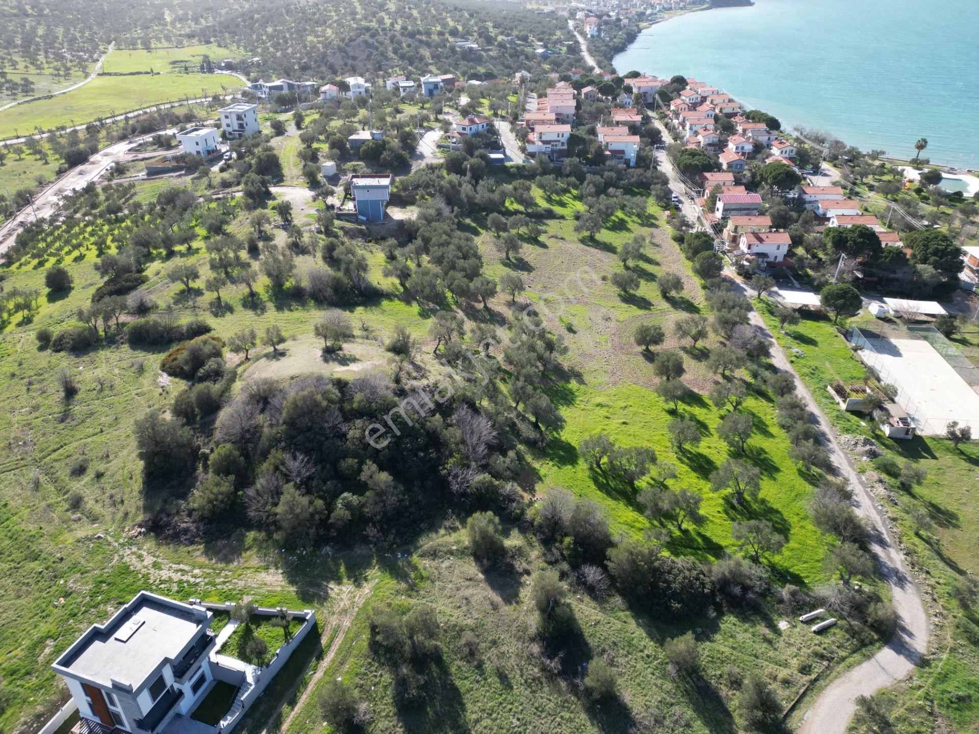 Şakranda 10800 M2 İmara Açılacak Zeytinlik - Görsel 18