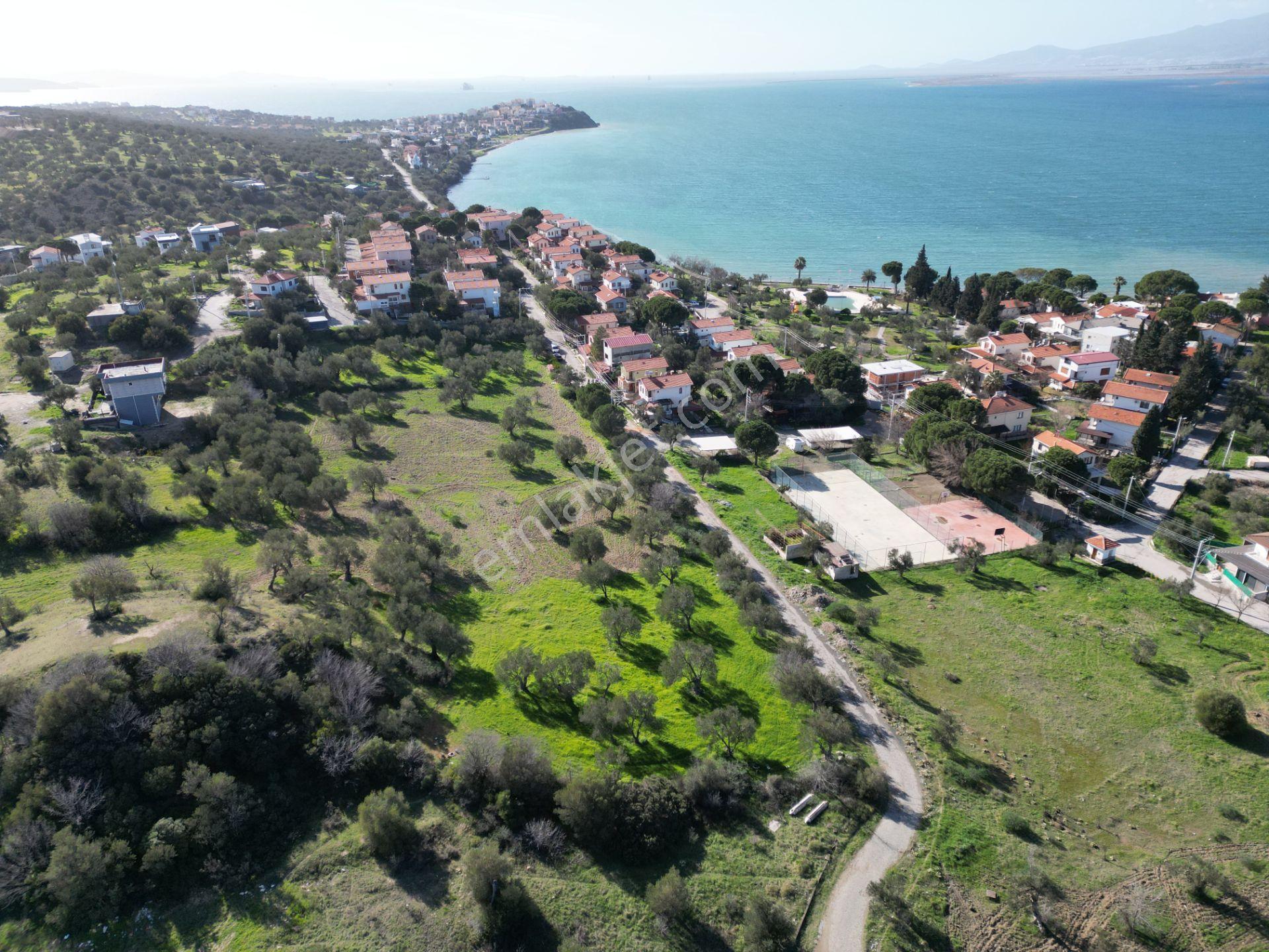 Şakranda 10800 M2 İmara Açılacak Zeytinlik - Görsel 20