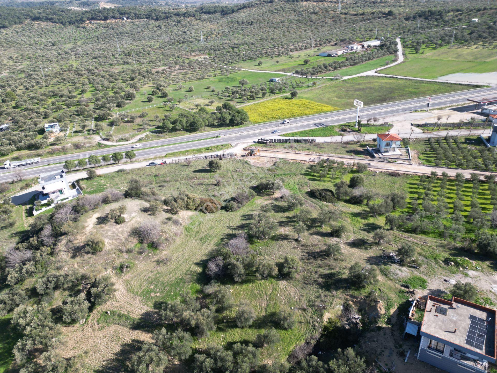 Şakranda 10800 M2 İmara Açılacak Zeytinlik - Görsel 9