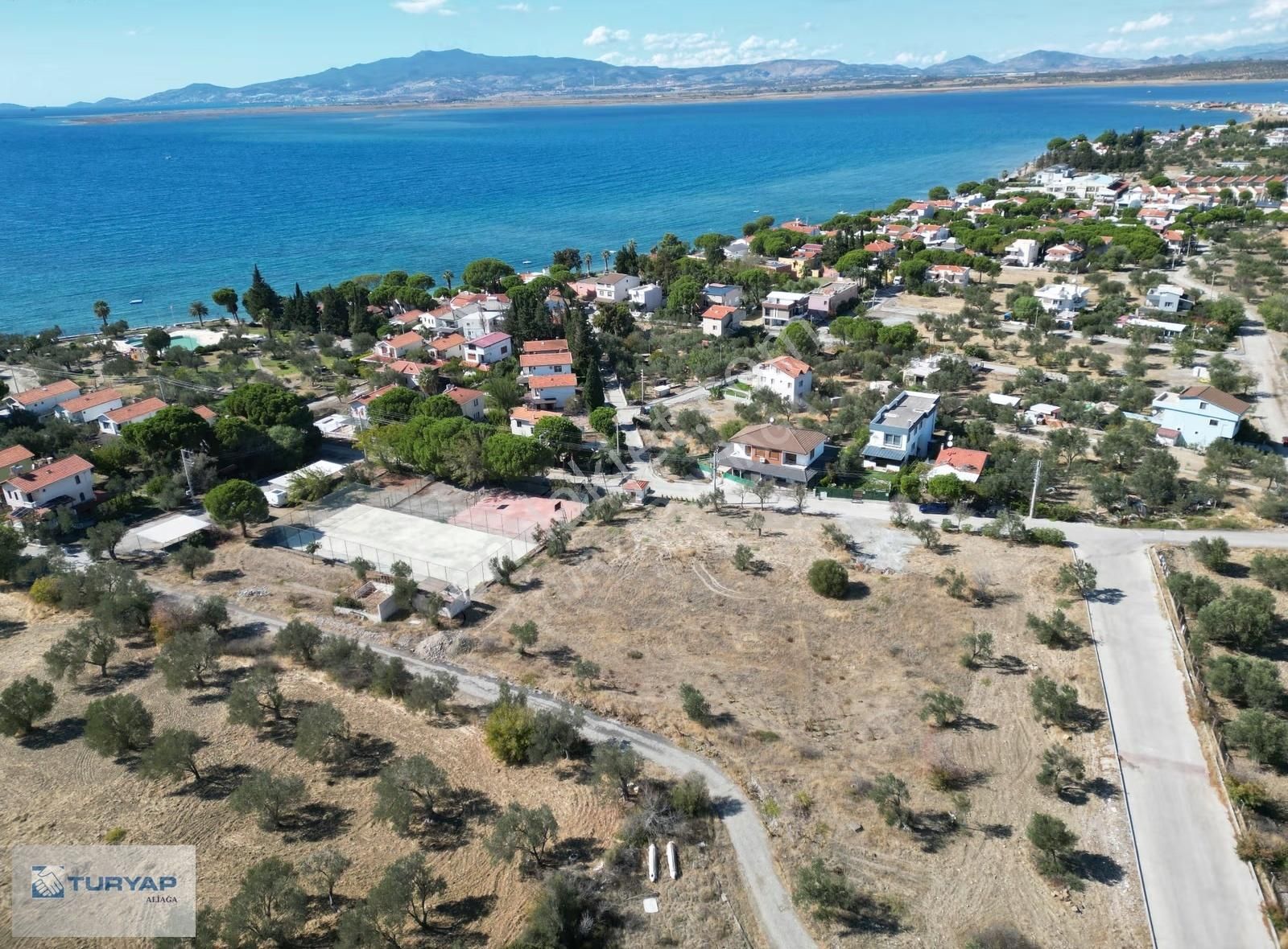 Şakranda 10800 M2 İmara Açılacak Zeytinlik Uygulama Görecek - Görsel 2