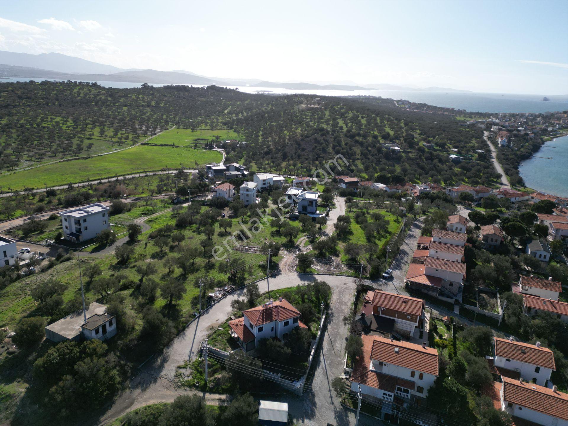 Şakranda 10800 M2 İmara Açılacak Zeytinlik - Görsel 14