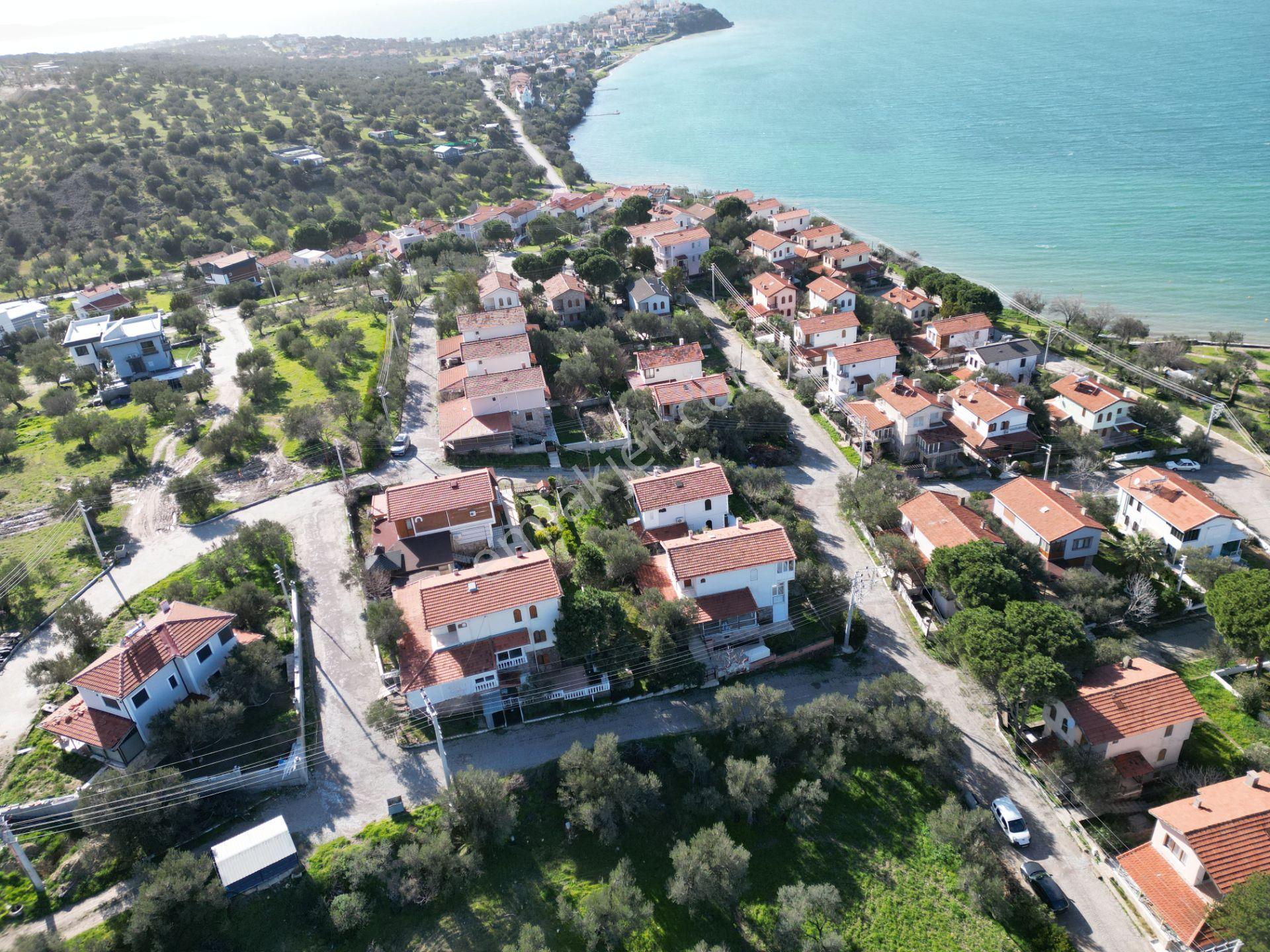 Şakranda 10800 M2 İmara Açılacak Zeytinlik - Görsel 11