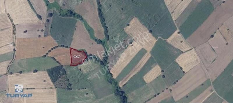 Çanakkale Biga Karantı Köyü 3.690 M2 Satılık Tarla - Görsel 4