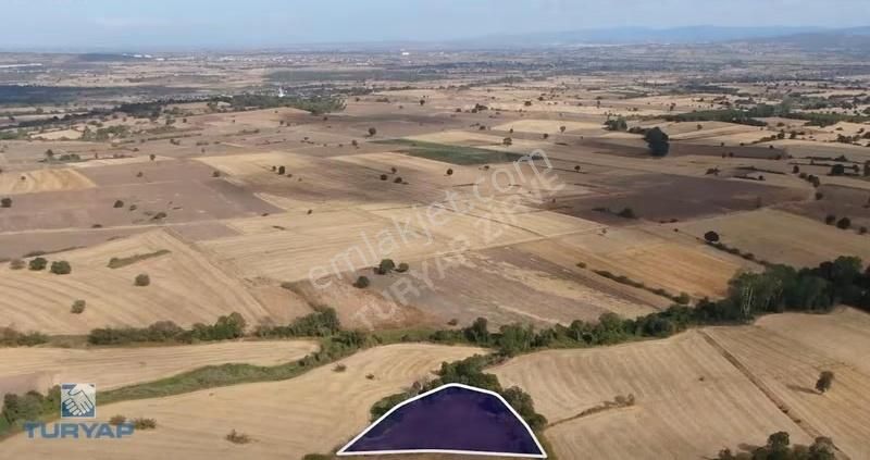 Çanakkale Biga Karantı Köyü 3.690 M2 Satılık Tarla - Görsel 6