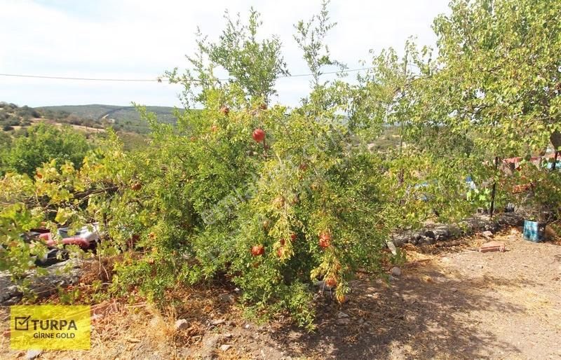 Bergama Gaylan'da 511 M2 Arsalı 2+1 Bakımlı Satılık Müstakil Ev - Görsel 13