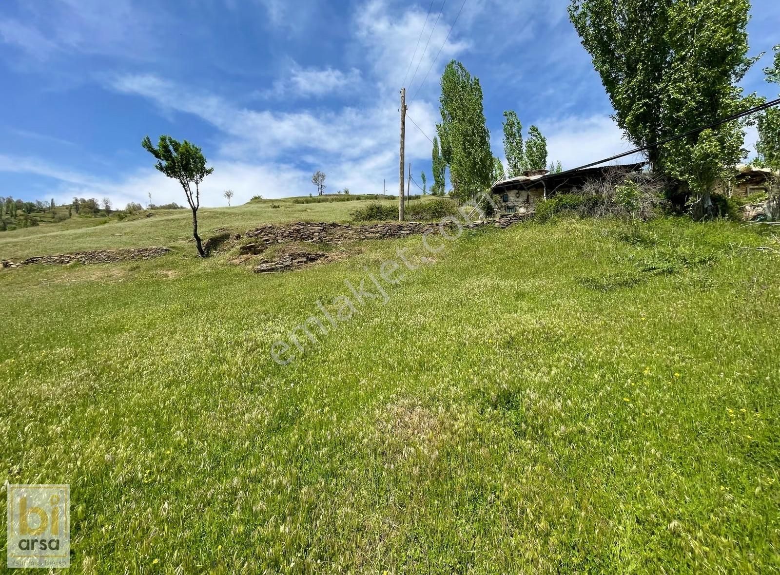 İzmir Kiraz Başaran'da 2.121 M² İmarlı Arsa !!! - Görsel 4