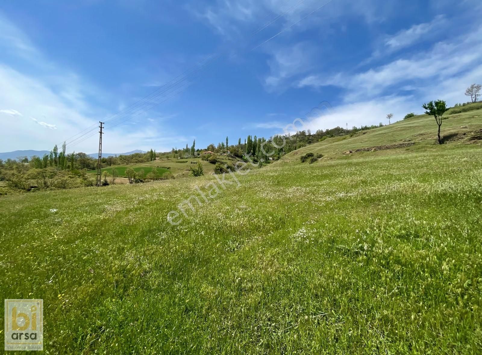 İzmir Kiraz Başaran'da 2.121 M² İmarlı Arsa !!! - Görsel 18