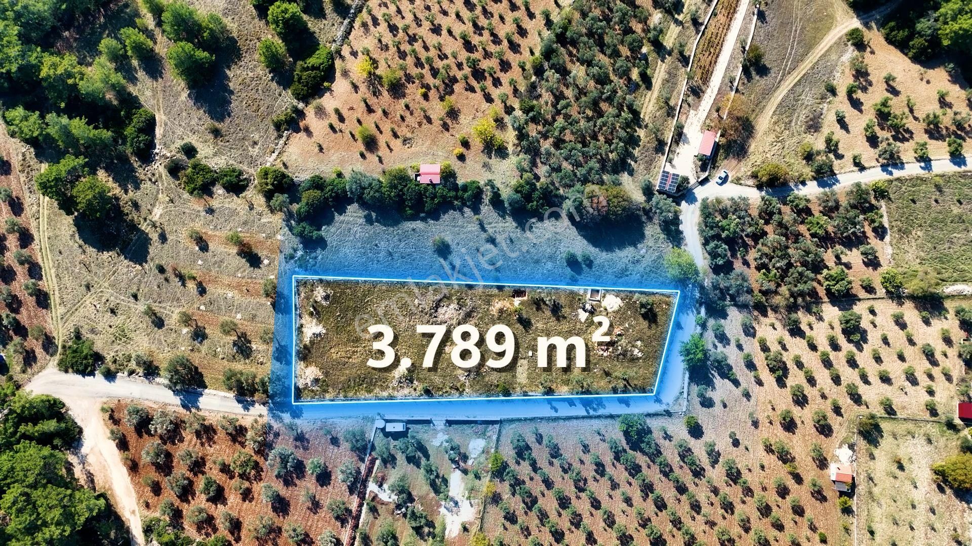 Urla Barbaros'ta 3790 M2 Yatırım Fırsatı - Görsel 8