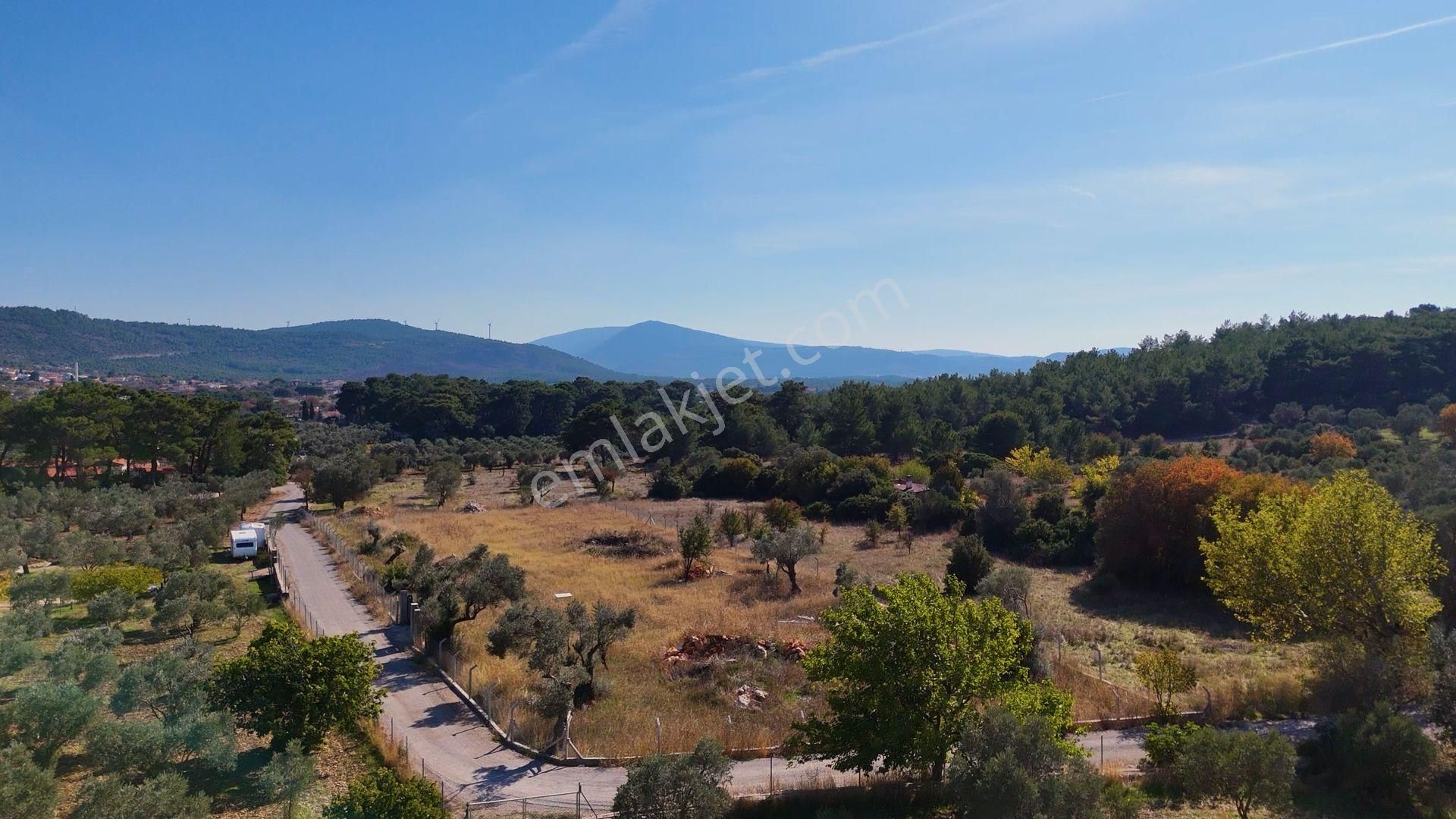 Urla Barbaros'ta 3790 M2 Yatırım Fırsatı - Görsel 14