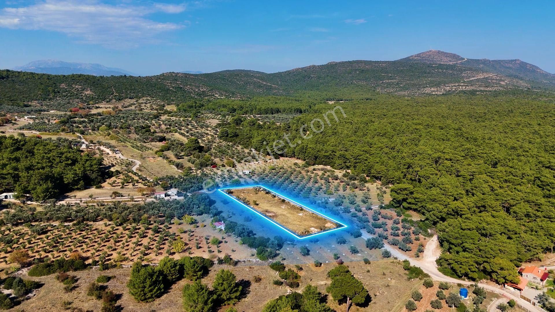 Urla Barbaros'ta 3790 M2 Yatırım Fırsatı - Görsel 9