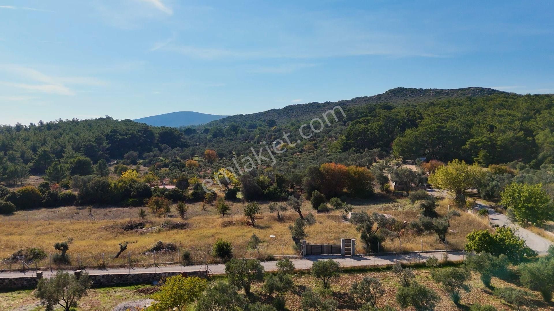 Urla Barbaros'ta 3790 M2 Yatırım Fırsatı - Görsel 7