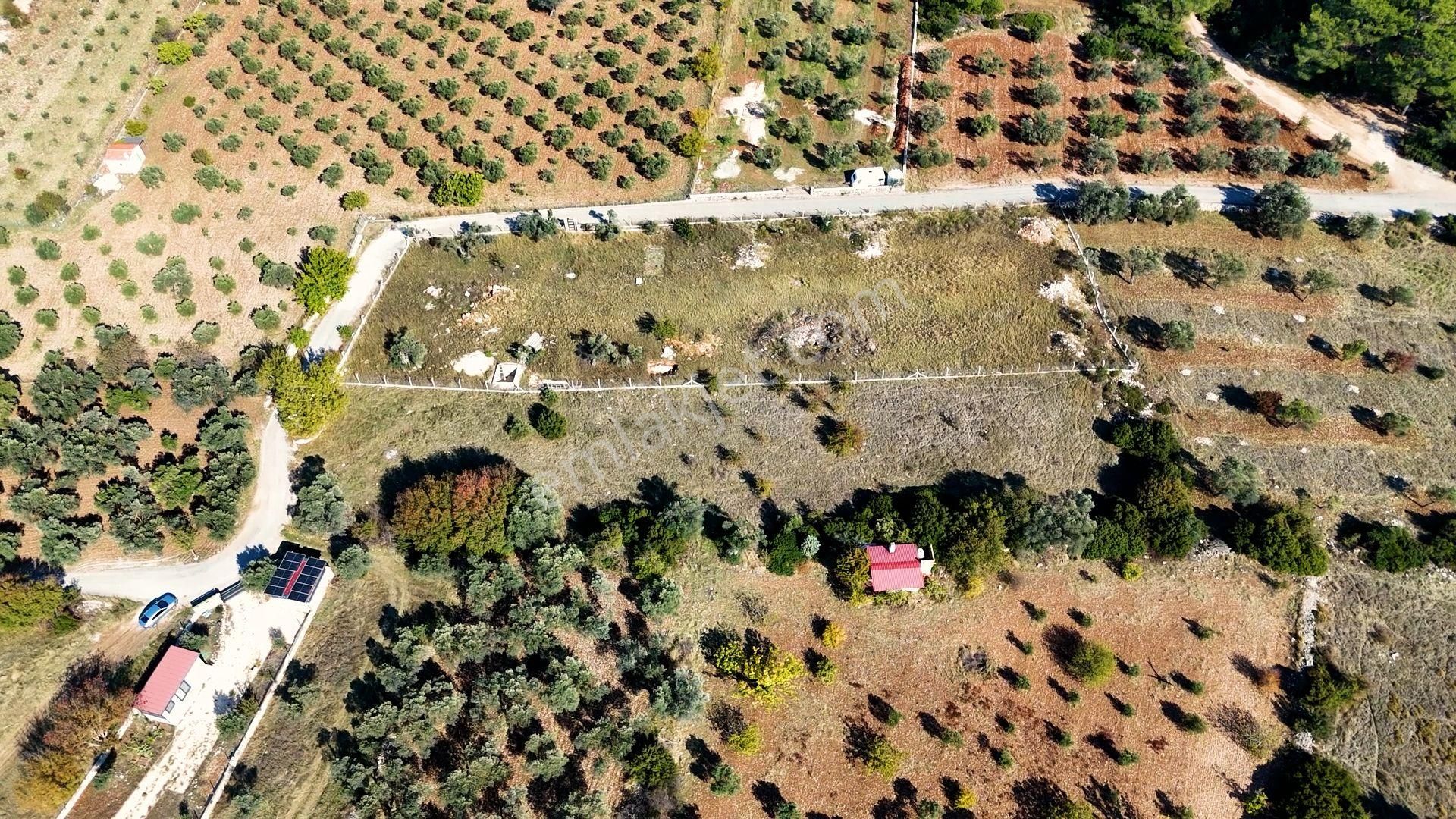 Urla Barbaros'ta 3790 M2 Yatırım Fırsatı - Görsel 10
