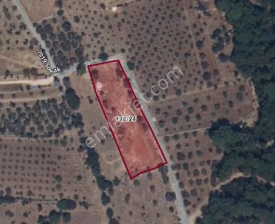 Urla Barbaros'ta 3790 M2 Yatırım Fırsatı - Görsel 17