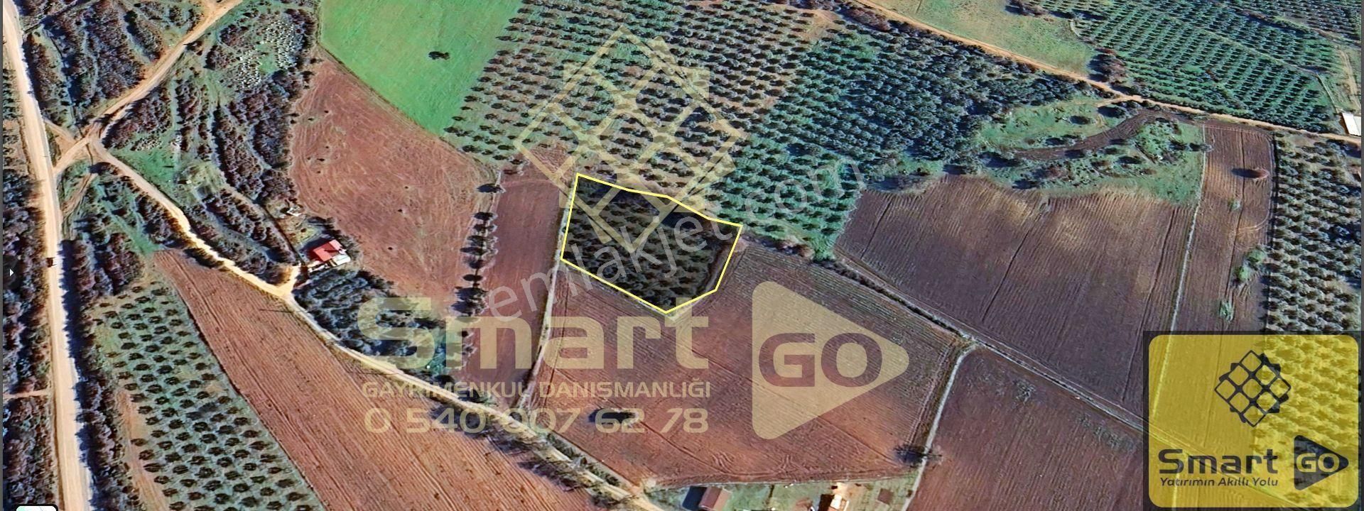 Karacabey Doğla'da Yatırım Fırsatı 3.650 M² Satılık Tarla - Görsel 7