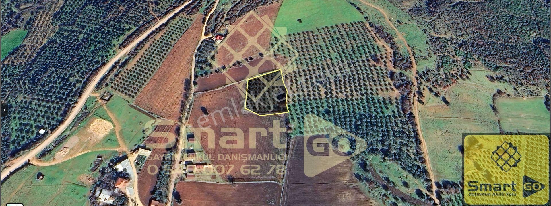 Karacabey Doğla'da Yatırım Fırsatı 3.650 M² Satılık Tarla - Görsel 6