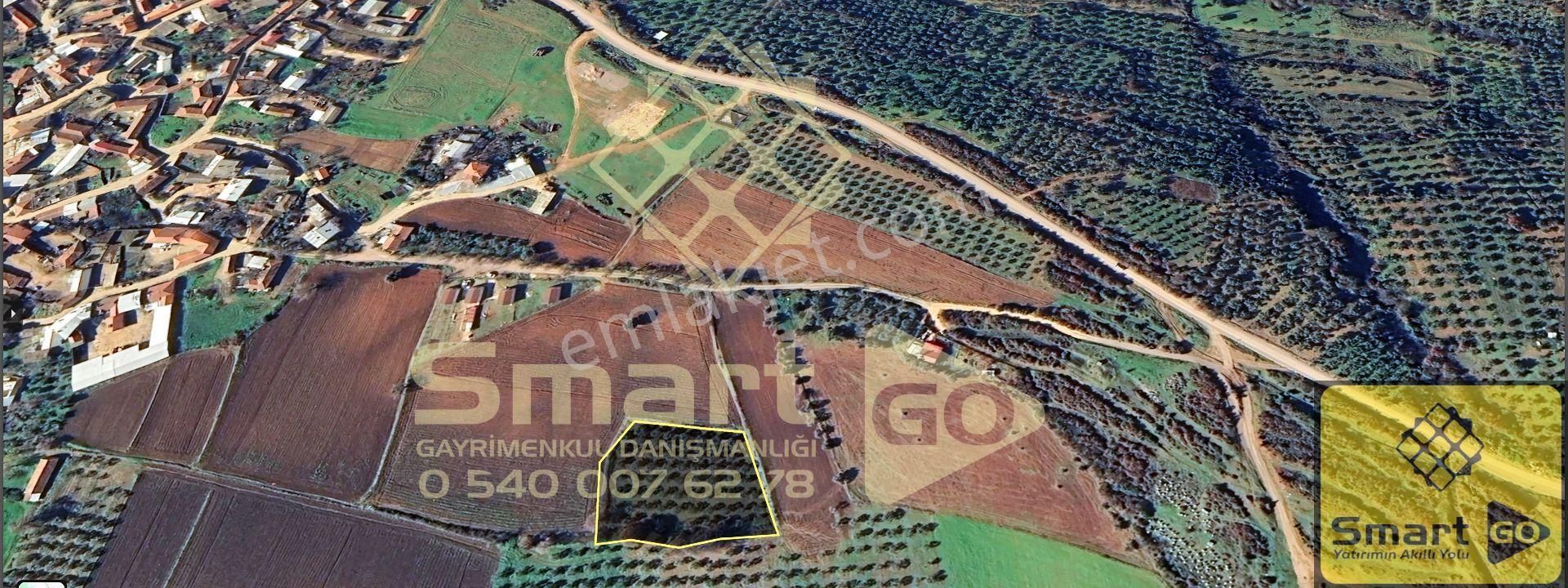 Karacabey Doğla'da Yatırım Fırsatı 3.650 M² Satılık Tarla - Görsel 13