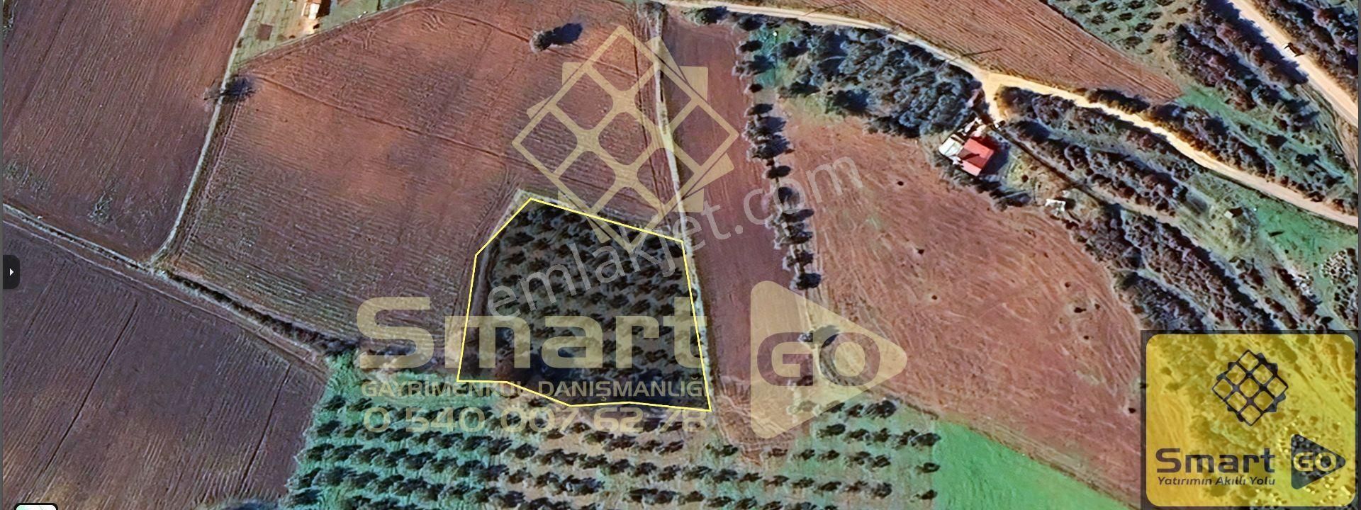 Karacabey Doğla'da Yatırım Fırsatı 3.650 M² Satılık Tarla - Görsel 25