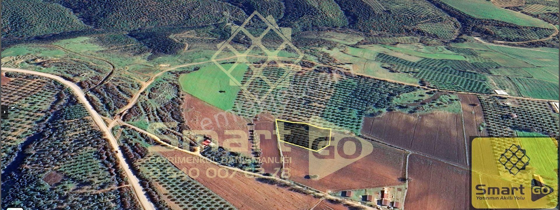 Karacabey Doğla'da Yatırım Fırsatı 3.650 M² Satılık Tarla - Görsel 20