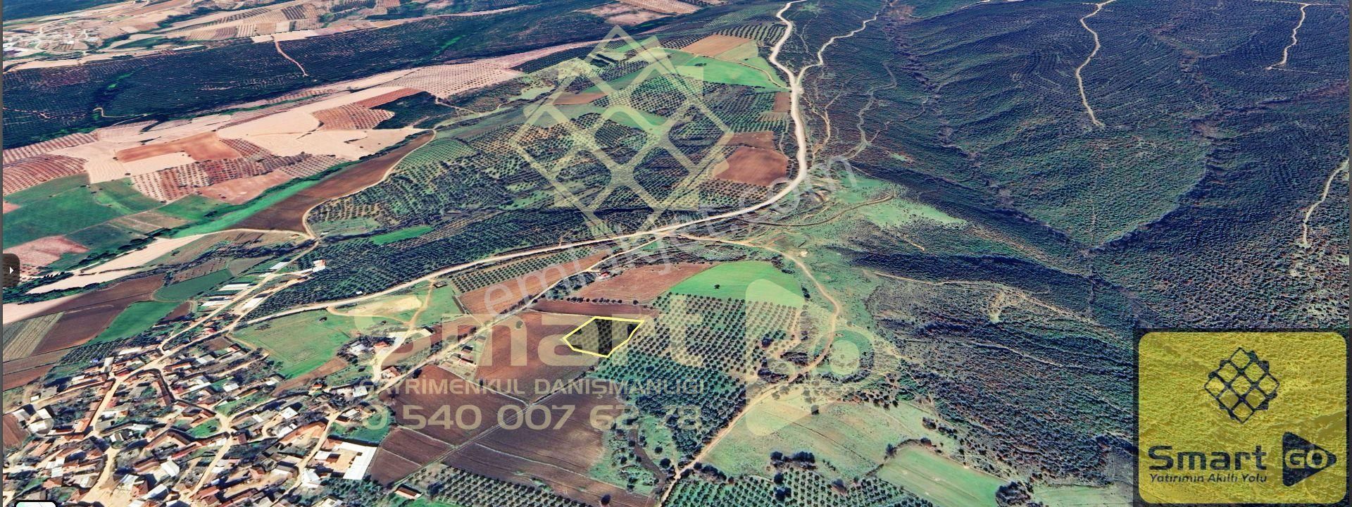 Karacabey Doğla'da Yatırım Fırsatı 3.650 M² Satılık Tarla - Görsel 22