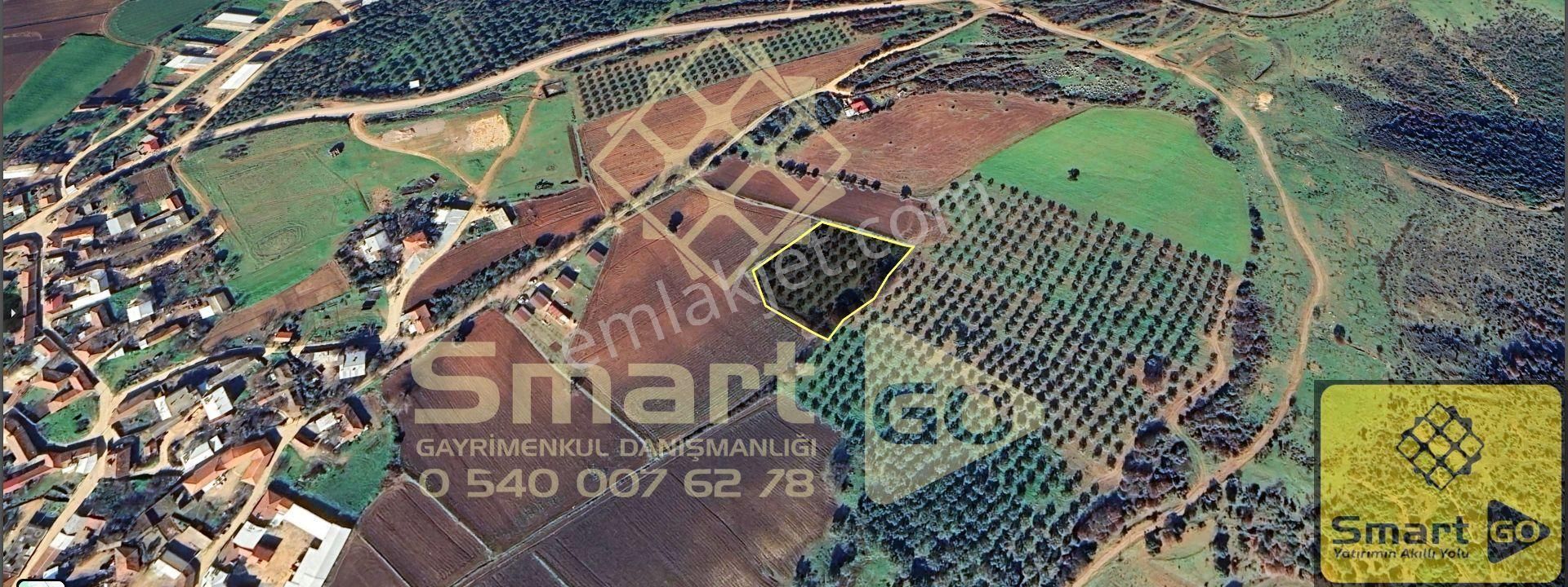 Karacabey Doğla'da Yatırım Fırsatı 3.650 M² Satılık Tarla - Görsel 28