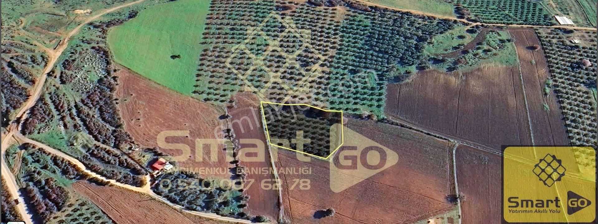 Karacabey Doğla'da Yatırım Fırsatı 3.650 M² Satılık Tarla - Görsel 19