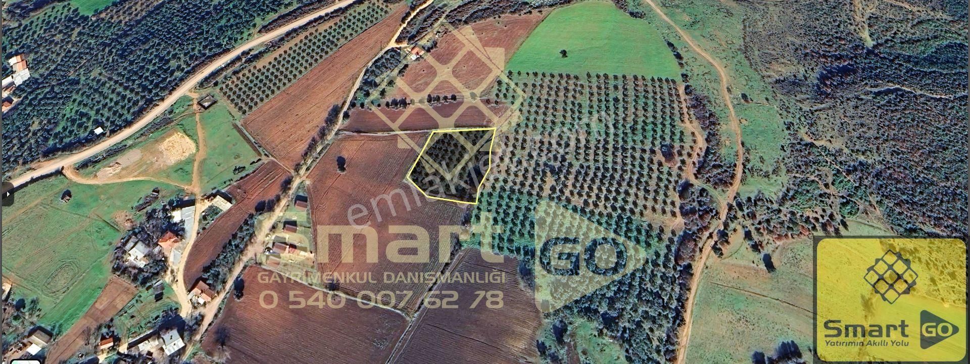 Karacabey Doğla'da Yatırım Fırsatı 3.650 M² Satılık Tarla - Görsel 12