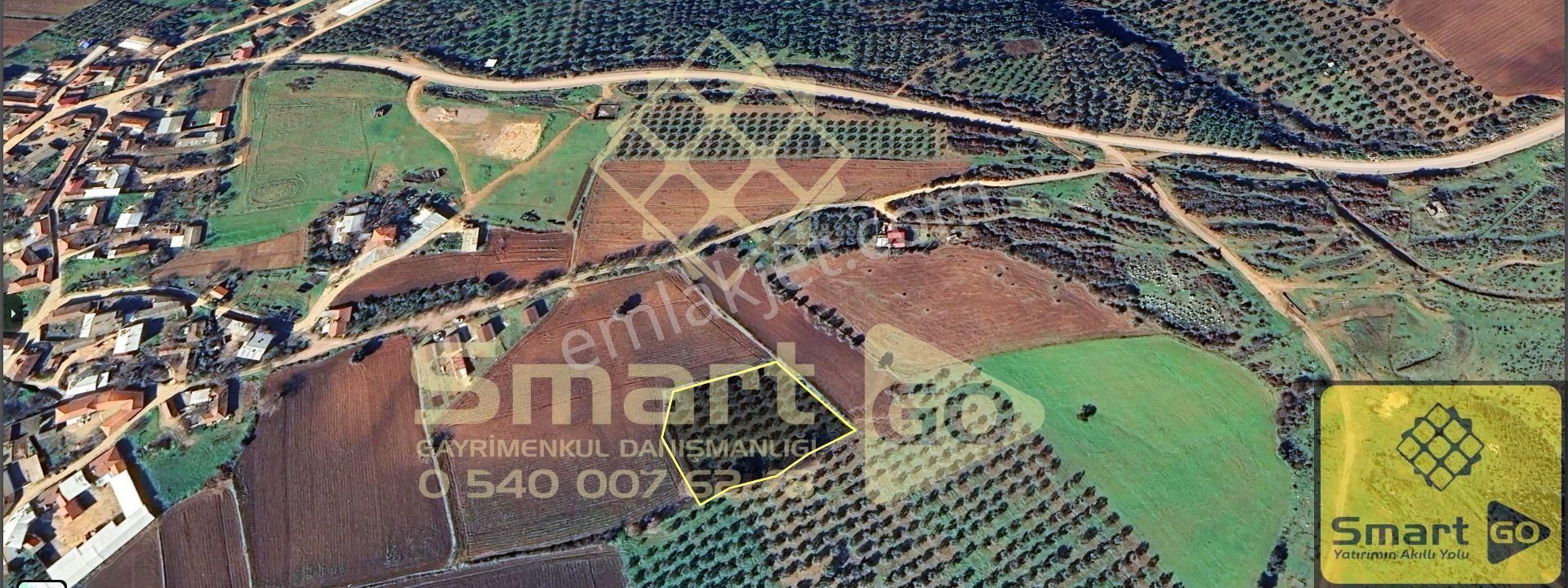 Karacabey Doğla'da Yatırım Fırsatı 3.650 M² Satılık Tarla - Görsel 5