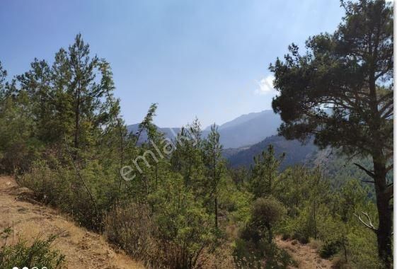 Mersin Silifke İmamuşağı Çatakkoyağı Mevkiinde Satılık Arsa.