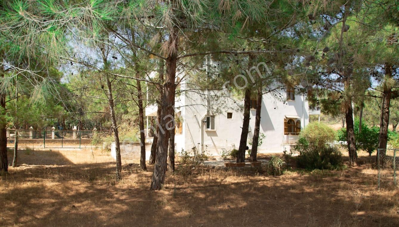 Lemas Emlak : Büyükeceli Denize 150 Metre Satılık Villa - Görsel 3