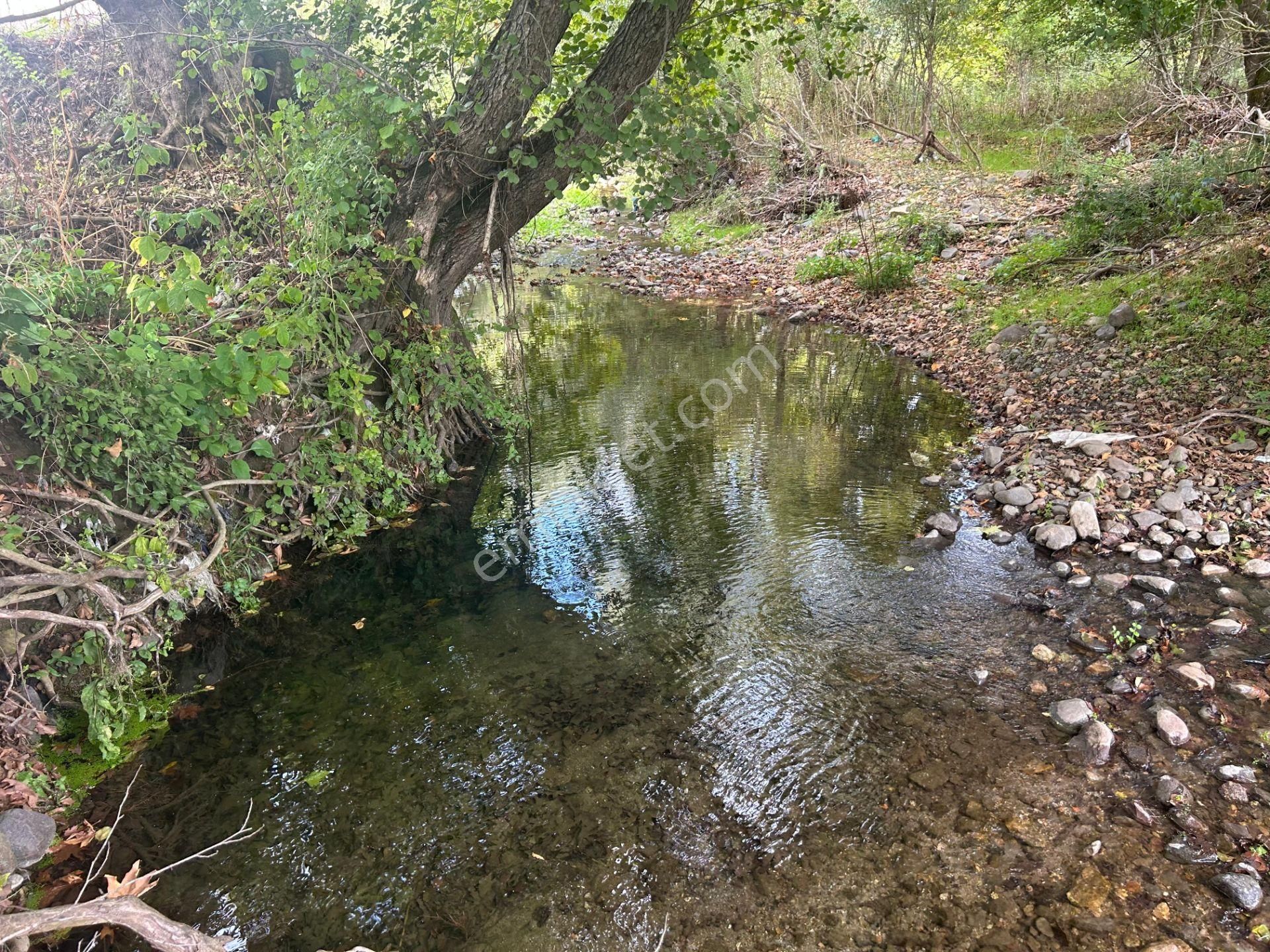 Kocaeli Karamürsel Kızderbent 1.193 M² Dere Kenarı Satılık Tarla - Görsel 21