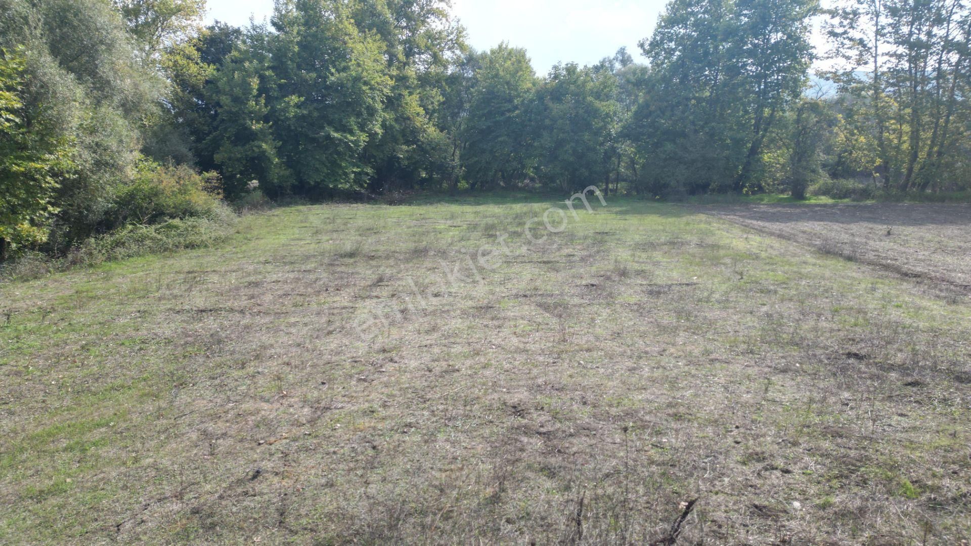 Kocaeli Karamürsel Kızderbent 1.193 M² Dere Kenarı Satılık Tarla - Görsel 12