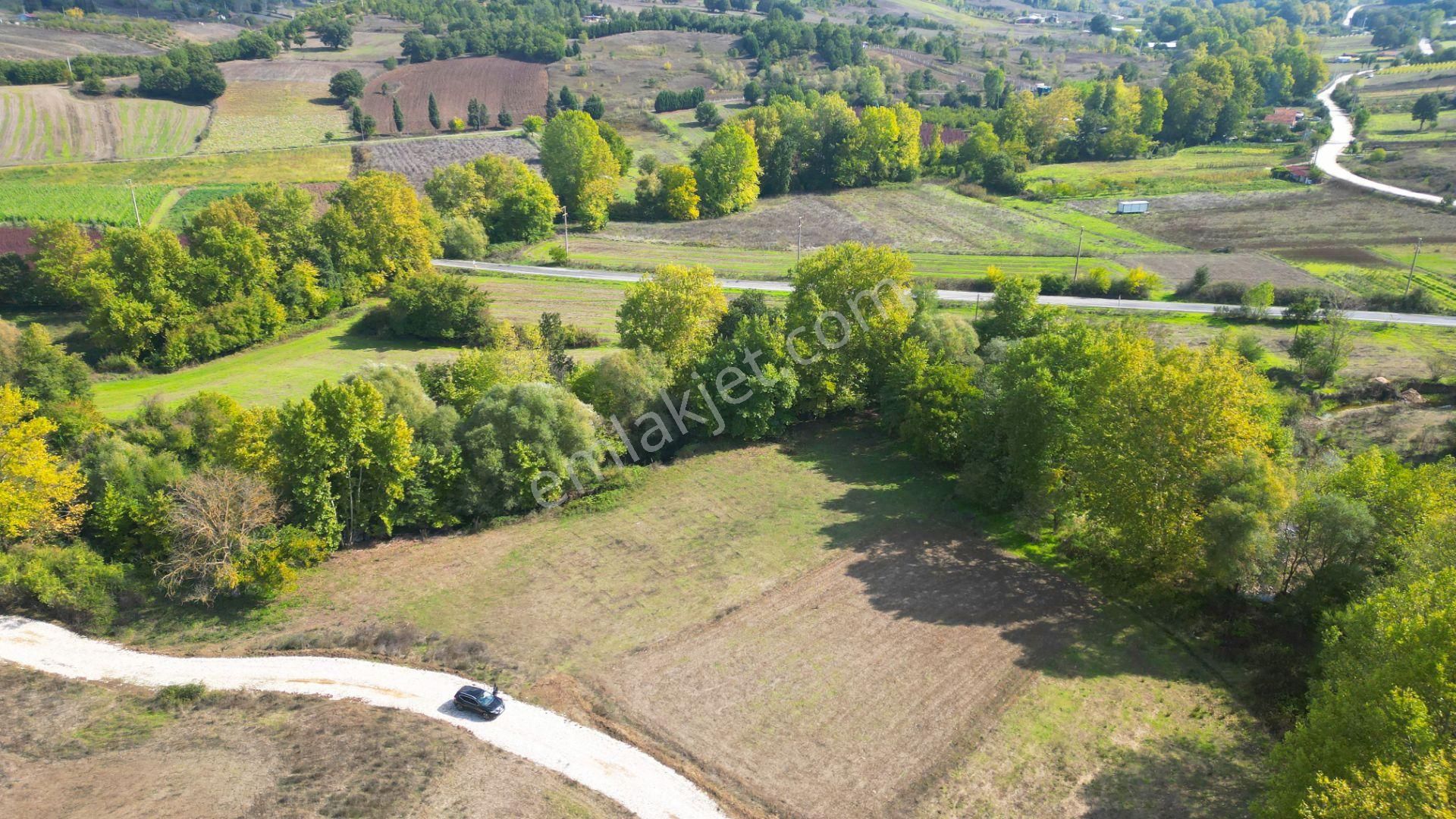 Kocaeli Karamürsel Kızderbent 1.193 M² Dere Kenarı Satılık Tarla - Görsel 2