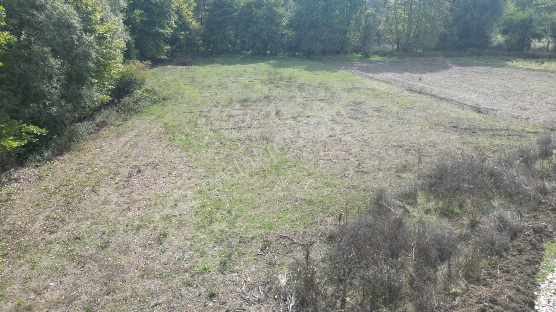 Kocaeli Karamürsel Kızderbent 1.193 M² Dere Kenarı Satılık Tarla - Görsel 10