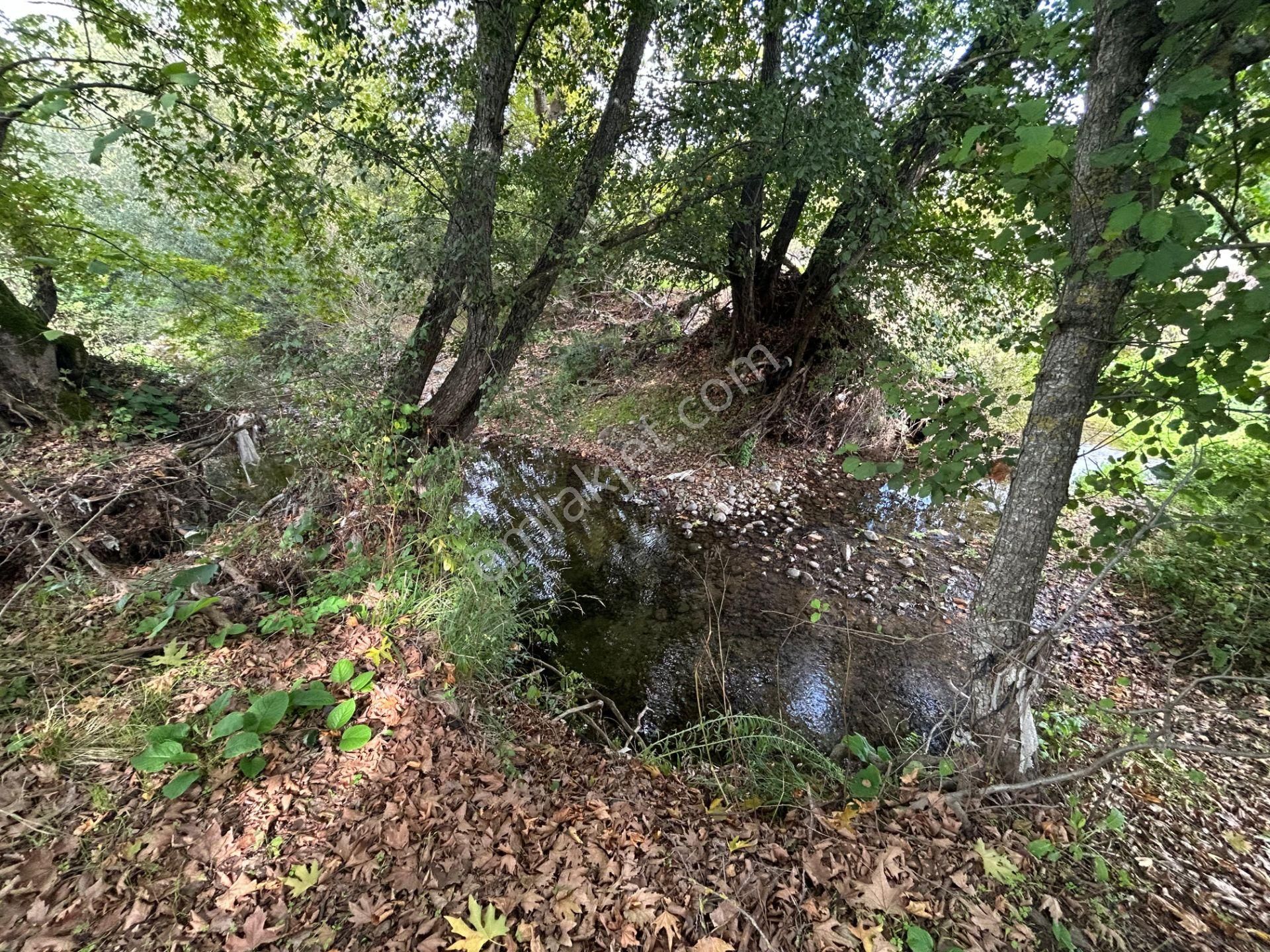 Kocaeli Karamürsel Kızderbent 1.193 M² Dere Kenarı Satılık Tarla - Görsel 20