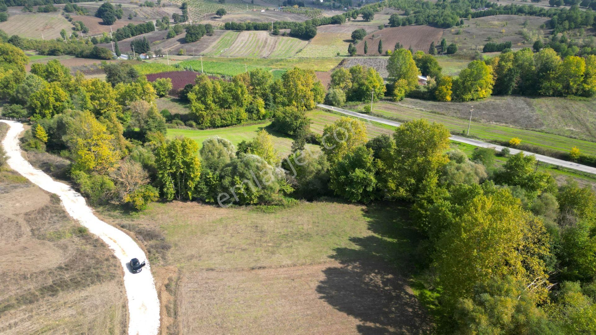 Kocaeli Karamürsel Kızderbent 1.193 M² Dere Kenarı Satılık Tarla - Görsel 4