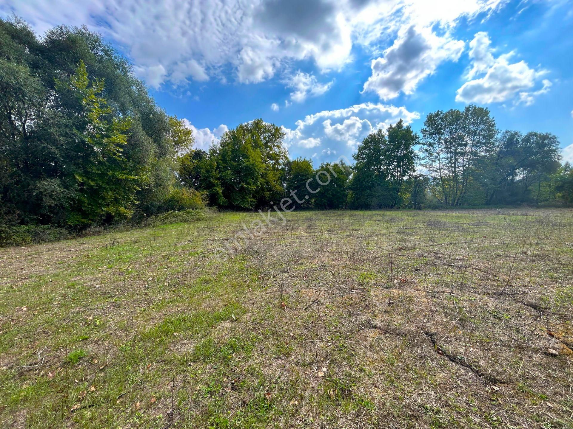 Kocaeli Karamürsel Kızderbent 1.193 M² Dere Kenarı Satılık Tarla - Görsel 18