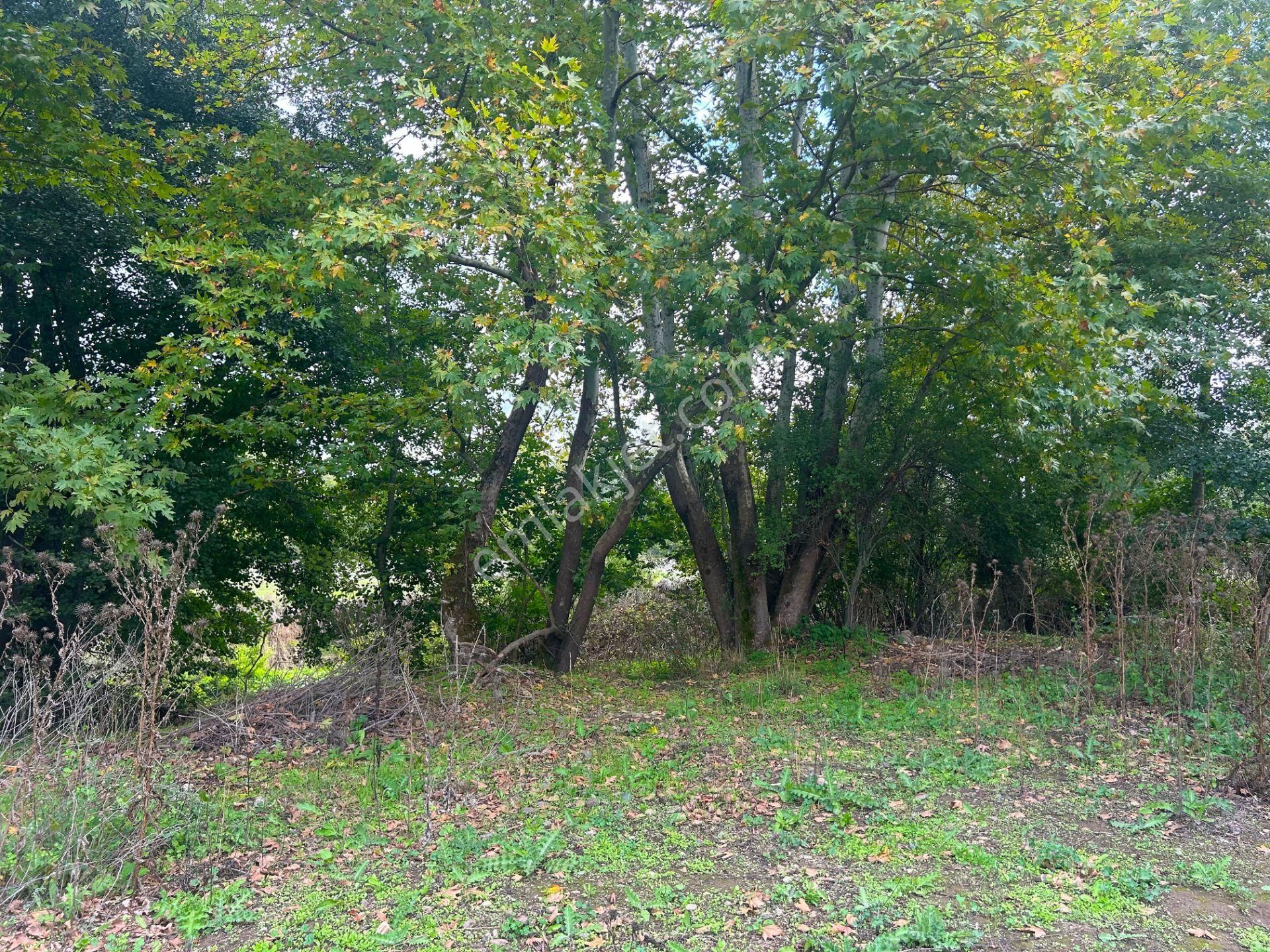 Kocaeli Karamürsel Kızderbent 1.193 M² Dere Kenarı Satılık Tarla - Görsel 19