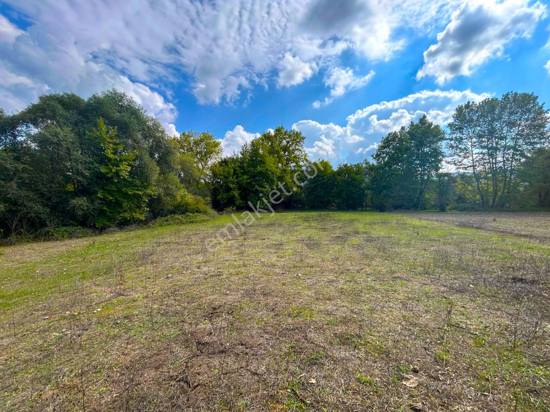 Kocaeli Karamürsel Kızderbent 1.193 M² Dere Kenarı Satılık Tarla - Görsel 14