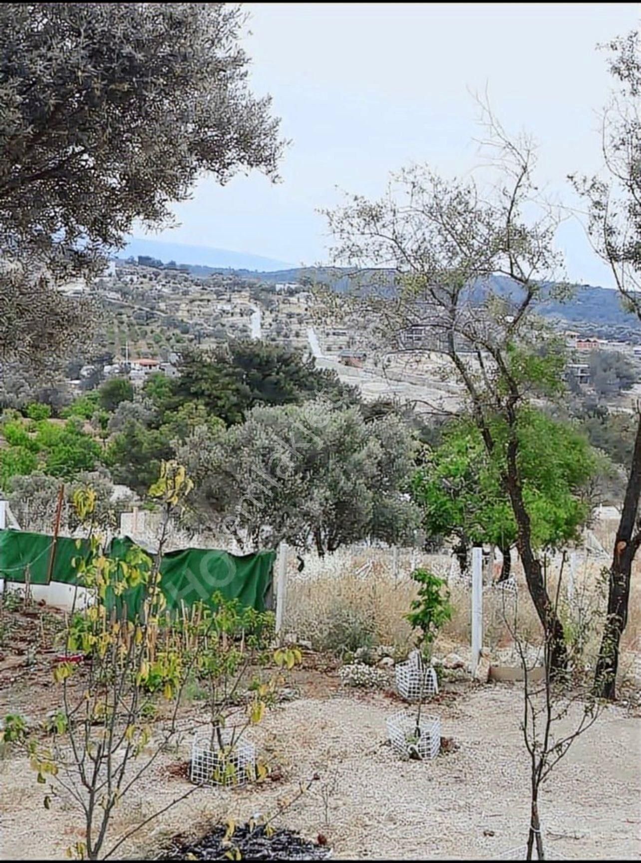 Bornova Nın Kalbinde Huzur Dolu Yaşam - Görsel 3